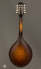 Collings Mandolins - MT GT Sunburst - Back