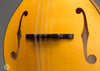 Collings Mandolins - MT GT - Honey Amber - Bridge