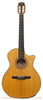 Taylor NS34ce Nylon String Acoustic Guitar - front