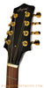 Bayard Octave Mandolin - head