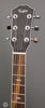 Taylor Electric Guitars - T5z Pro LTD - Aged Cherry Burst - Headstock