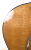 Taylor 555 12-String - front closer