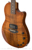 Anderson Guitars Crowdster Plus Koa Electric - angle
