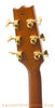 Heritage Custom Eagle Archtop - tuners