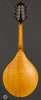 Collings Mandolins - MT GT Honey Amber - Back