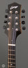Collings Mandolins - MT GT Honey Amber - Headstock