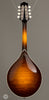 Collings Mandolins - MT2 - Burst - Back