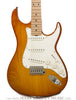Don Grosh Electric Guitars - Retro Classic Standard - Honey Burst