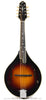 The Loar Mandolins - LM-300