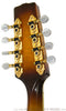 Flatiron Mandolins - 1998 A5 Artist