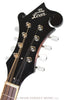The Loar Mandolins - LM-520