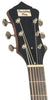 Recording King Banjos - Madison 6-String Resonator