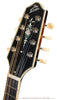 The Loar Mandolins - LM-300