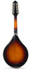 The Loar Mandolins - LM-300