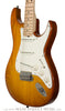 Don Grosh Electric Guitars - Retro Classic Standard - Honey Burst