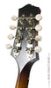 Collings Mandolins - MT GT 1 1/8" Nut - Sunburst