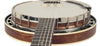 Recording King Banjos - Madison 6-String Resonator