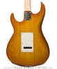 Don Grosh Electric Guitars - Retro Classic Standard - Honey Burst