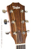 Taylor Acoustic Guitars - DN3