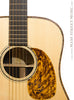 Thompson Dreadnought #5 Acoustic - pickguard