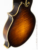 Clark 5F Mandolin - back angle