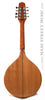 Gold Tone Mandolins - Mandola