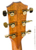 Taylor Acoustic Guitars - 816ce