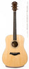 Taylor Acoustic Guitars - DN3