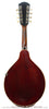 Gibson Mandolins - 1919 A3 - White