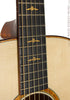 Taylor Acoustic Guitars - 516e-FLTD 2013