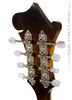 Clark 5F Mandolin - head back