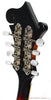 The Loar Mandolins - LM-520