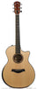 Taylor Acoustic Guitars - Custom Cocobolo GA BTO