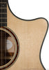 Taylor Acoustic Guitars - Custom Cocobolo GA BTO