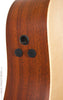 Martin Acoustic Guitars - DCPA5