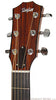 Taylor Acoustic Guitars - Custom Cocobolo GA BTO