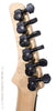 Parker Electric Guitars - Dragonfly DF624