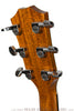Taylor Acoustic Guitars - Custom Cocobolo GA BTO