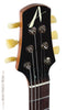 Tom Anderson Electric Guitars - Bulldog - Tiger Eye Burst