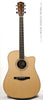 Eastman Acoustic Guitars - AC420CE