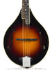 The Loar Mandolins - LM-300
