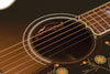 L.R. Baggs Pickups - Session VTC