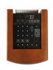 Schertler Jam 150 Acoustic guitar amp - top controls