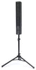 Fishman SA220 Solo Performance System - upright